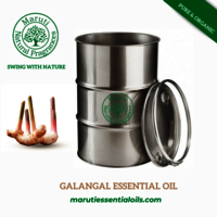 Galangal Essential Oil