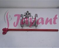 Silver Top Entry Ball Valve