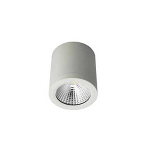 12W LED Surface Mount Cylinder Light