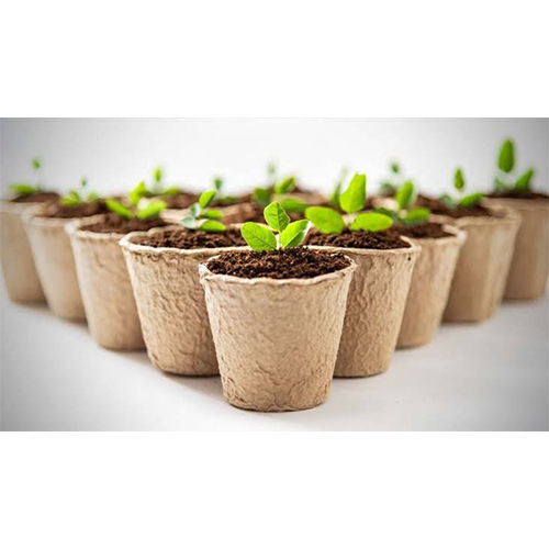 Coir Seed Pots