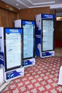 Frigoglass 550 Ltr Single Door Visi Cooler