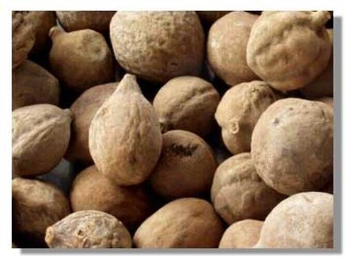 Brown Terminalia Bellirica Extract