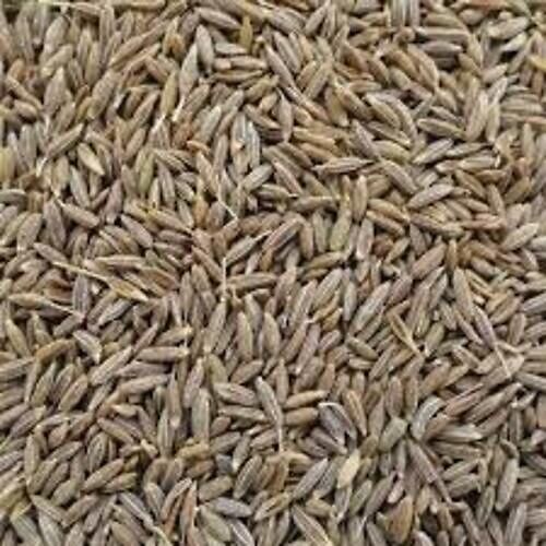 Cumin Seed