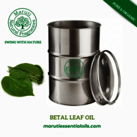 BETEL LEAF OIL