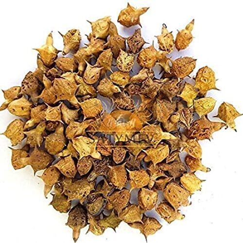 Gokhru Seeds