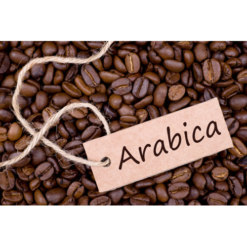 Arabica Coffee Beans
