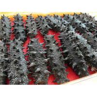 Dry Sea Cucumber - Sun-dried, Seasoned Texture | Healthy Snack Alternative, Nutrient-rich Superfood