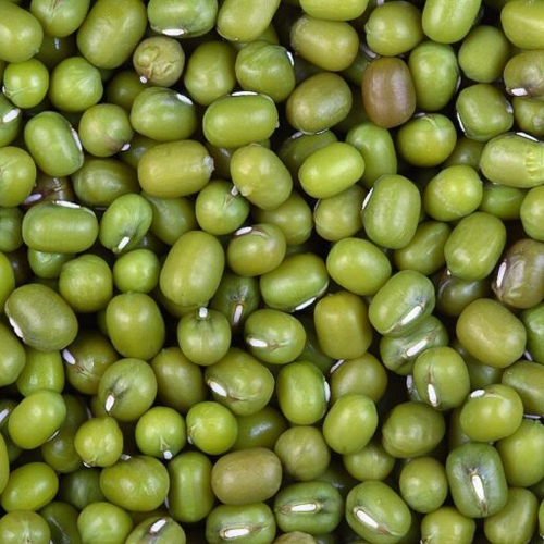 Green Mung Beans