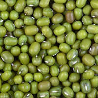Green Mung Beans - High Purity, Moisture Nil | Export Quality, Customized Weight In Kilograms