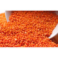 Organic Red Lentils - High Purity, Natural Shape, Export Quality , Customizable Weight