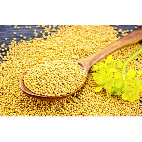 Mustard Seeds