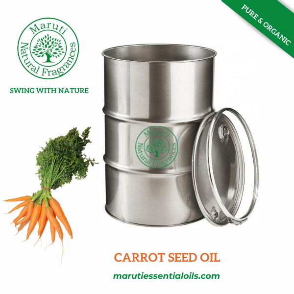 CARROT SEED OIL