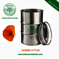 Amber Attar