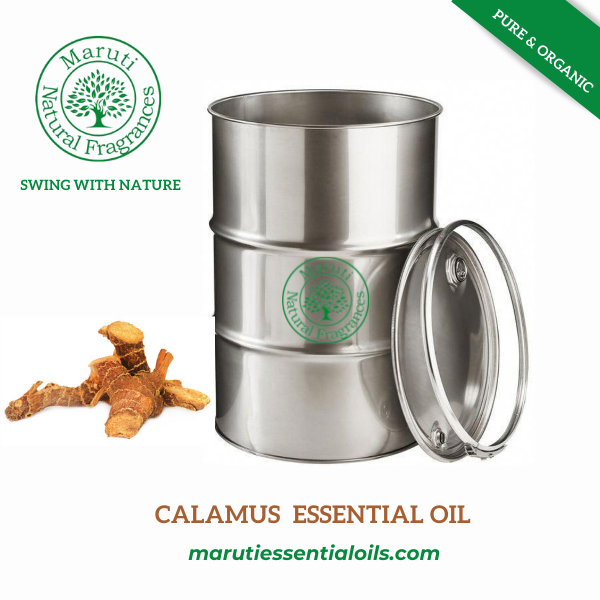 Calamus Oil