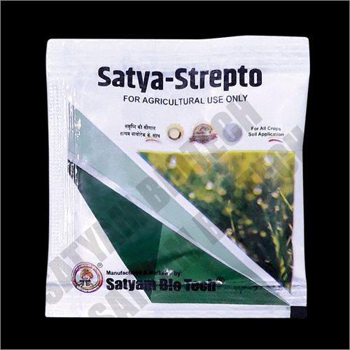 Satya Strepto