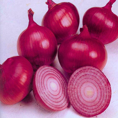 Red Onion