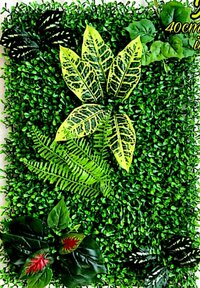 Vertical Garden wall
