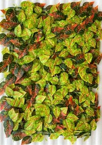 Vertical Garden wall