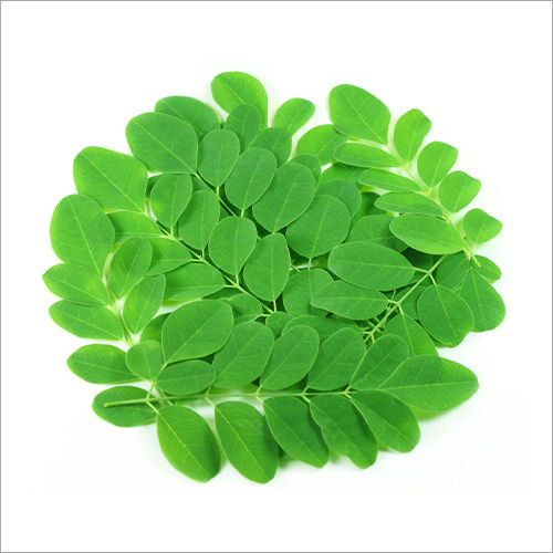 Moringa Leaves Ingredients: Herbs