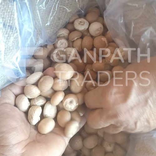 A4 Quality Gini or Jini Dried Whole Supari - Grade First Class, Moisture Nil, Fresh Style | Common Cultivation Type, Strict Quality Assurance