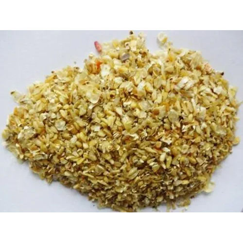 Maize Germ