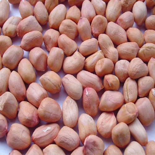 Java Peanuts