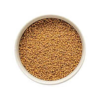 Yellow Mustard Seed
