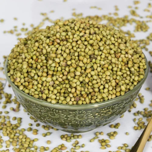 Green Dried Coriander Seeds