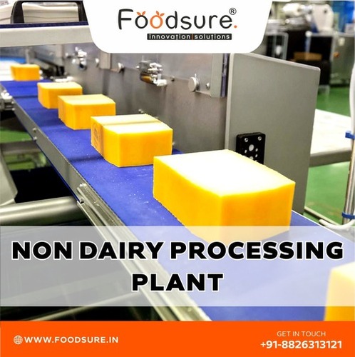 Non Dairy Cheese Processing Plant