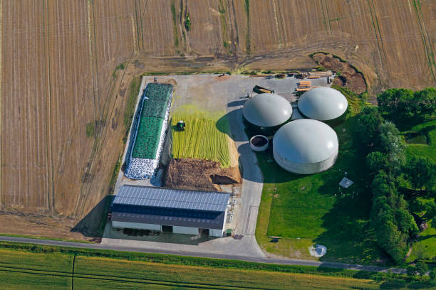 Compress Biogas Plant