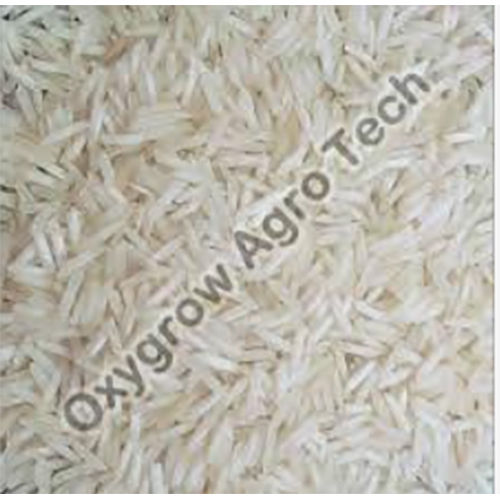 IR 64 1% Broken Raw Rice