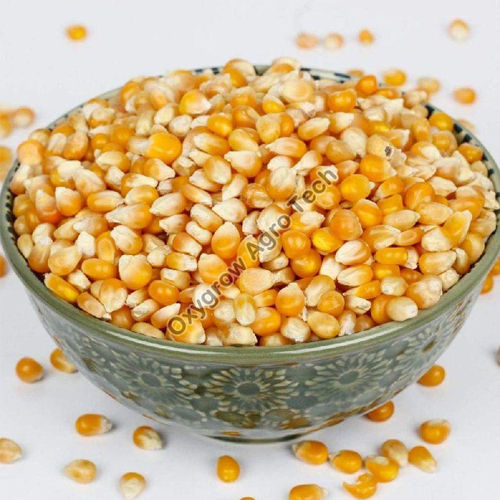 Maize Seeds Carbohydrate: 42.6 Grams (G)