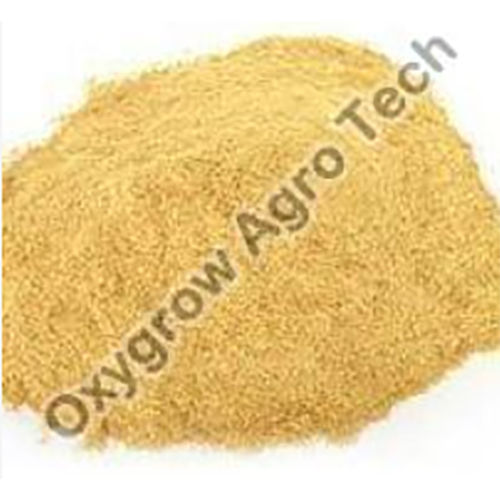 Cattle Feed Rice Bran