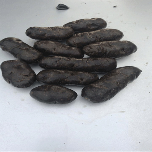 Irregular Purple Potato