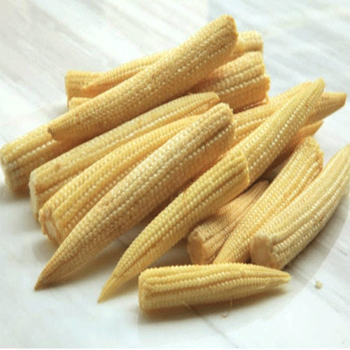 Baby Corn - Fresh, Light Brown, Various Sizes | 99% Purity, 8-12 Months Shelf Life, Rich in Folate for Expectant Mothers