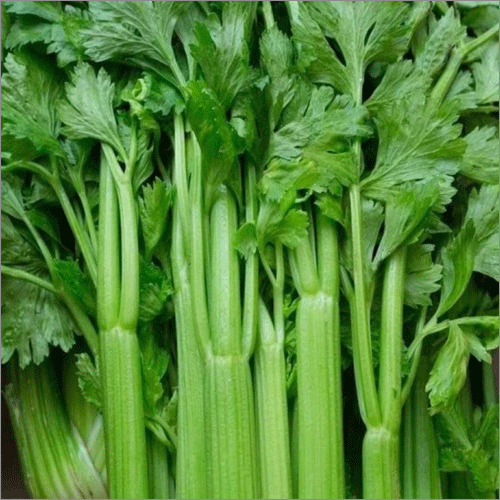Celery Leave - Raw Blocky Shape, Green Color, 6 Months Shelf Life, Instant Style, High Fiber for Weight Loss and Eye Vision Support