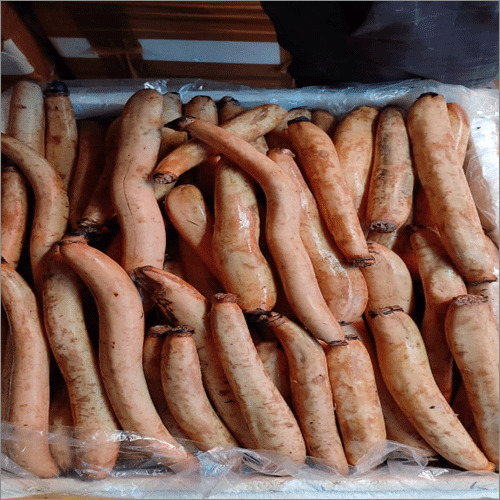 Lotus Roots And Stems - Raw Stout & Light Brown 2-4 Meters Height | 30 Days Shelf Life Abundant in Vitamins & Minerals