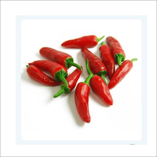 Blocky Shape Thai Bud Chilli