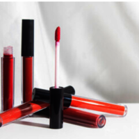 Lip Stick (all types of lipstick)