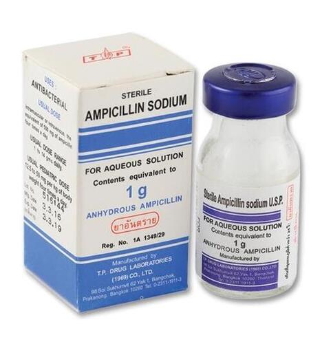 Ampicillin Injection