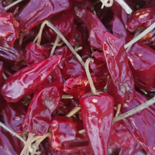 Natural Red Chilli