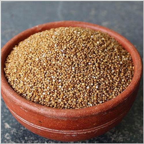 Fava Beans Lentils Organic Kodo Millet At Best Price In New Delhi ...