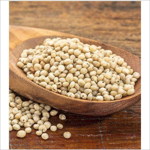 Organic Sorghum Millet