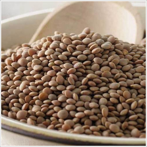 Brown Lentil