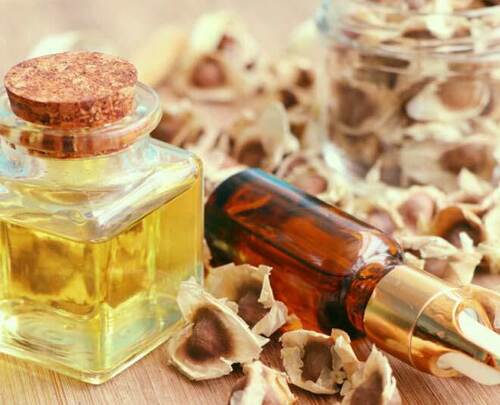 Moringa Carrier Oil