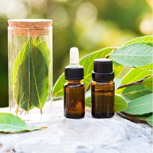 Bay leaf oil