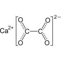 Calcium Oxalate - Cac2o4 | 128.1 G/mol Molar Mass, 99% Purity, Insoluble White Powder, 1-100 Âµm Particle Size, Kidney Stone Treatment, Polishing Agent