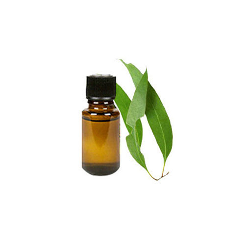 Eucalyptus Oil