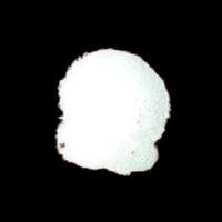 Sodium Arsenite Ar - 25gm Bottle, 99% Purity, Crystalline Powder For Laboratory Research And Industrial Applications, Cas No: 7784-46-5, Odorless, Soluble In Water, Acs/iso Compliant