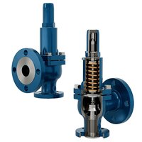 Safety Relief Valve - Application: Industrial